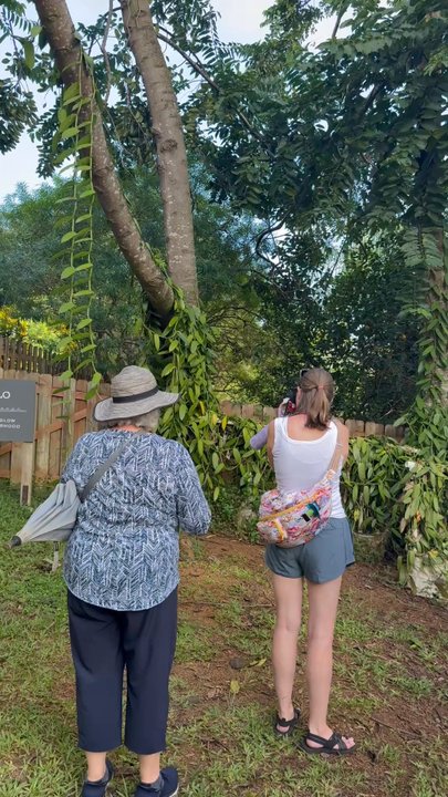 Lydgate Farms - Botanical Gardens Near Me - Kapaa, Hawaii