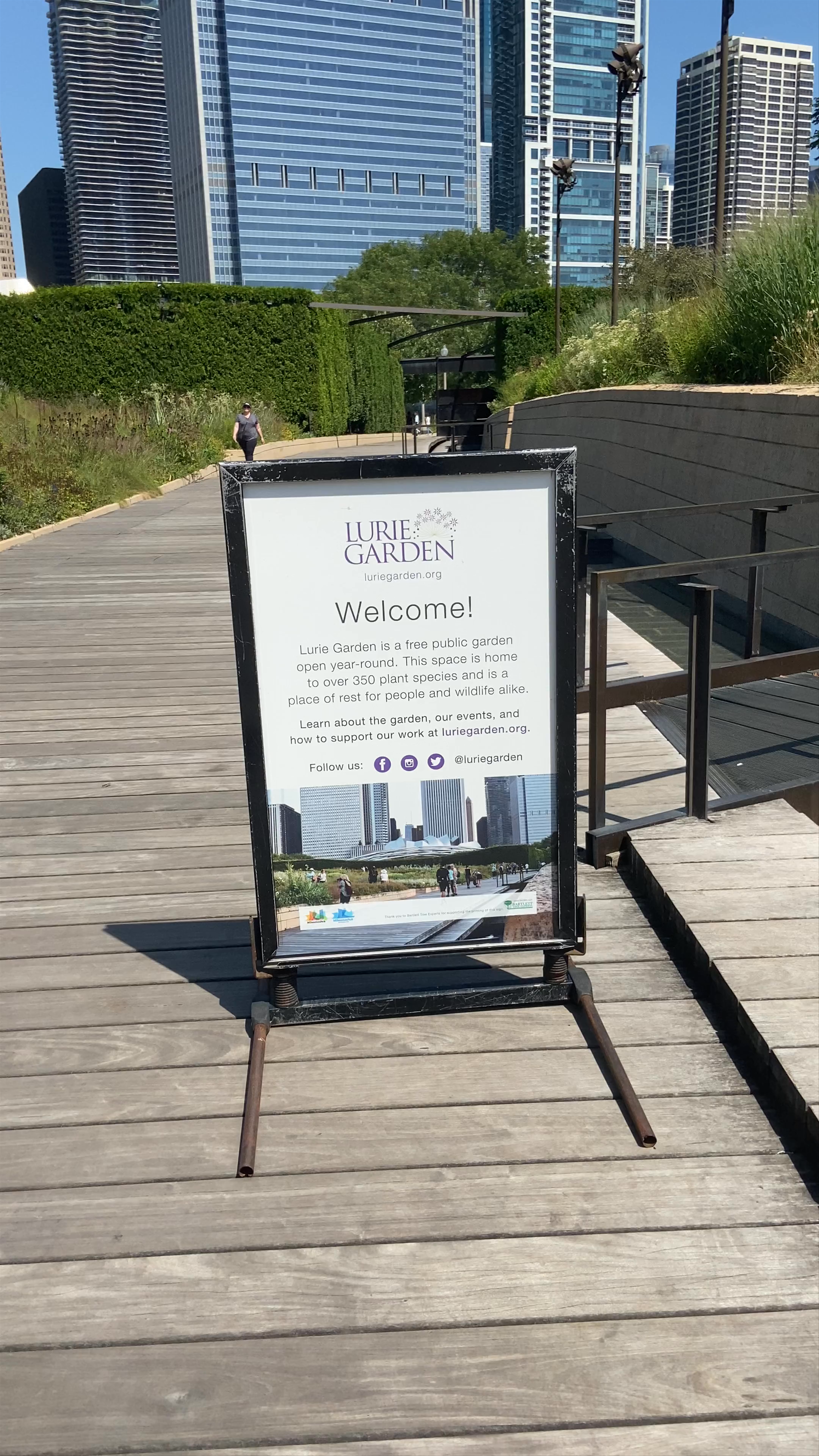 Lurie Garden: Urban Oasis in the Heart of Chicago
