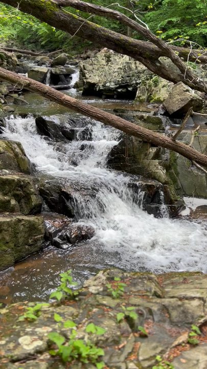 GUNPOWDER FALLS STATE PARK - Updated June 2026 - 170 Photos & 44 ...