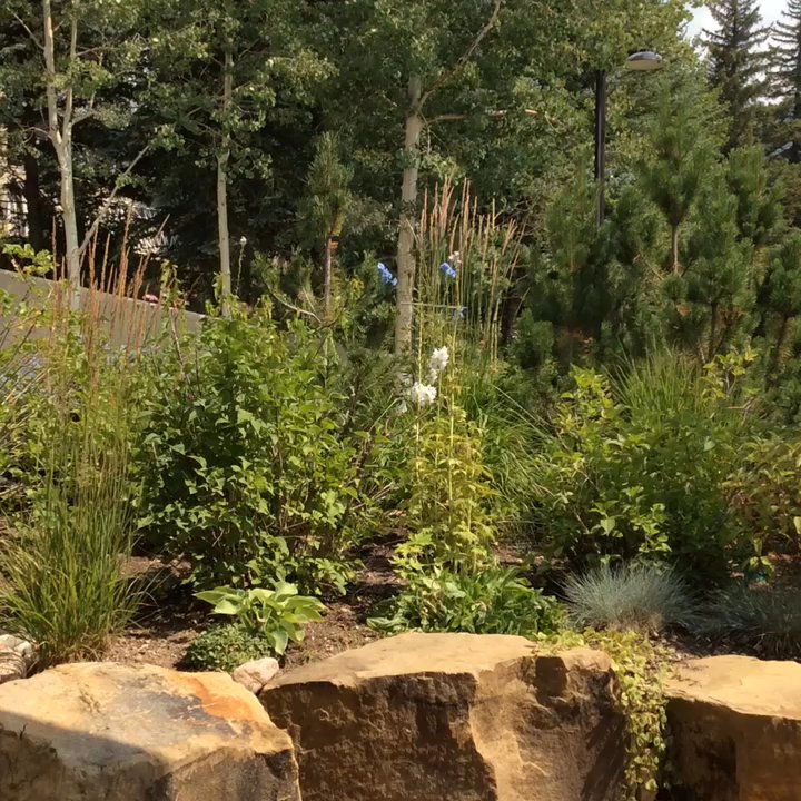 Ford Park - Parks Near Me - Vail, Colorado