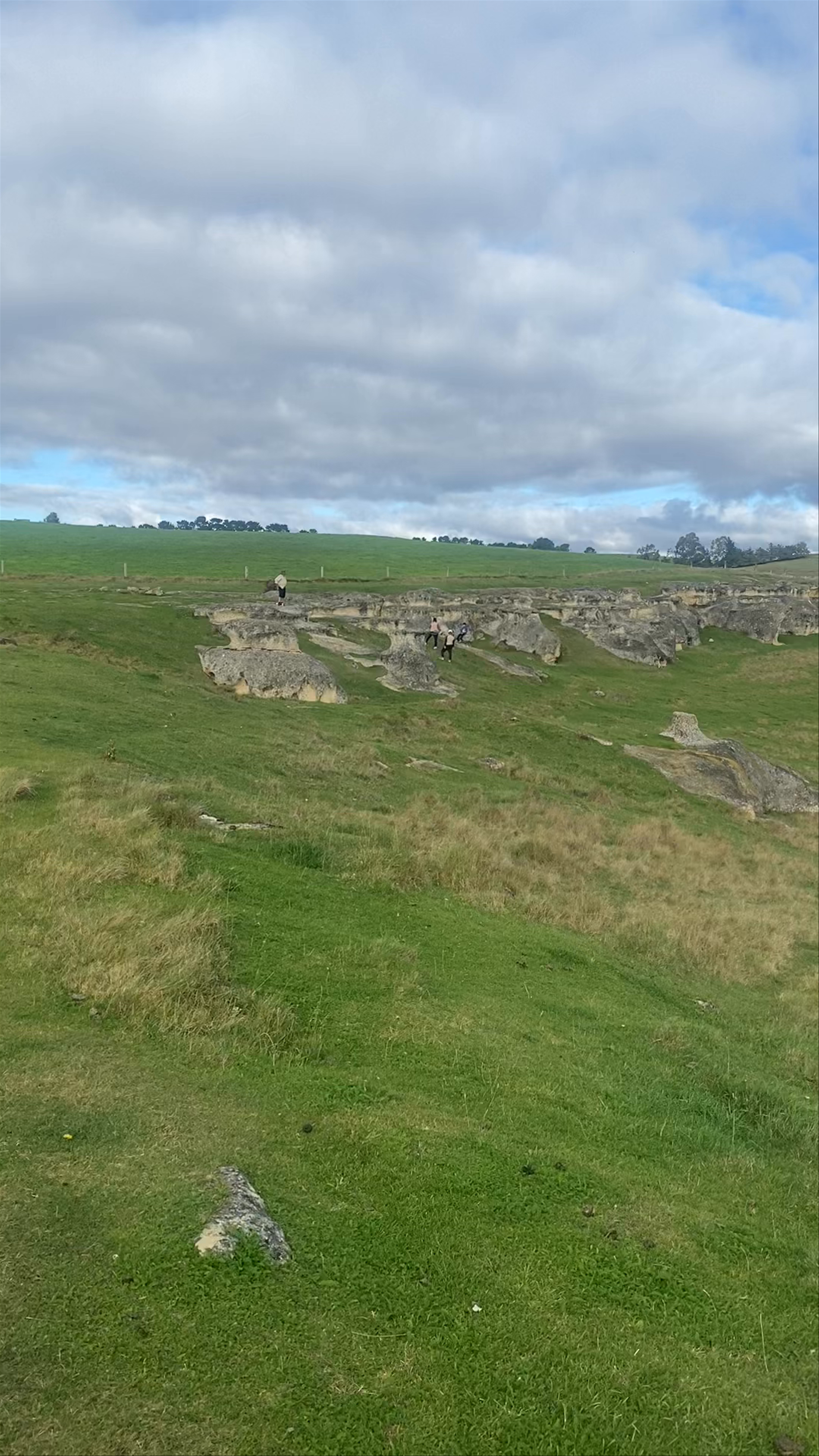Elephant Rocks Island Cliff-Duntroon Road