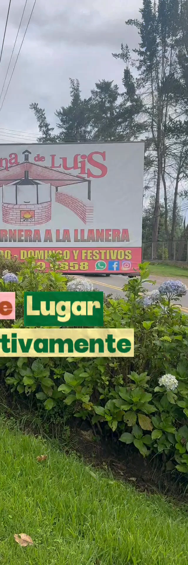 Contenido del creador
