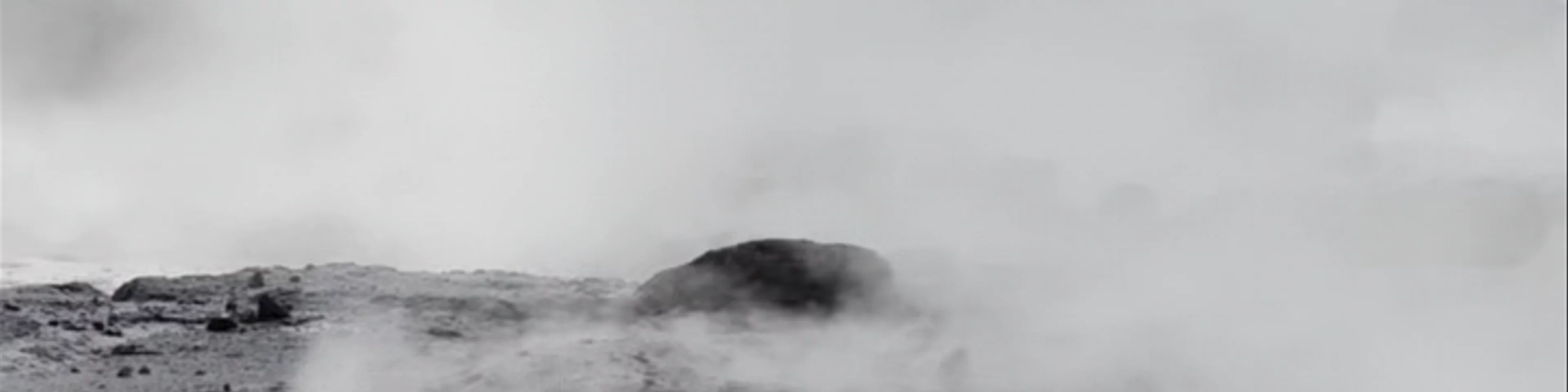 Te Puia - Rotorua