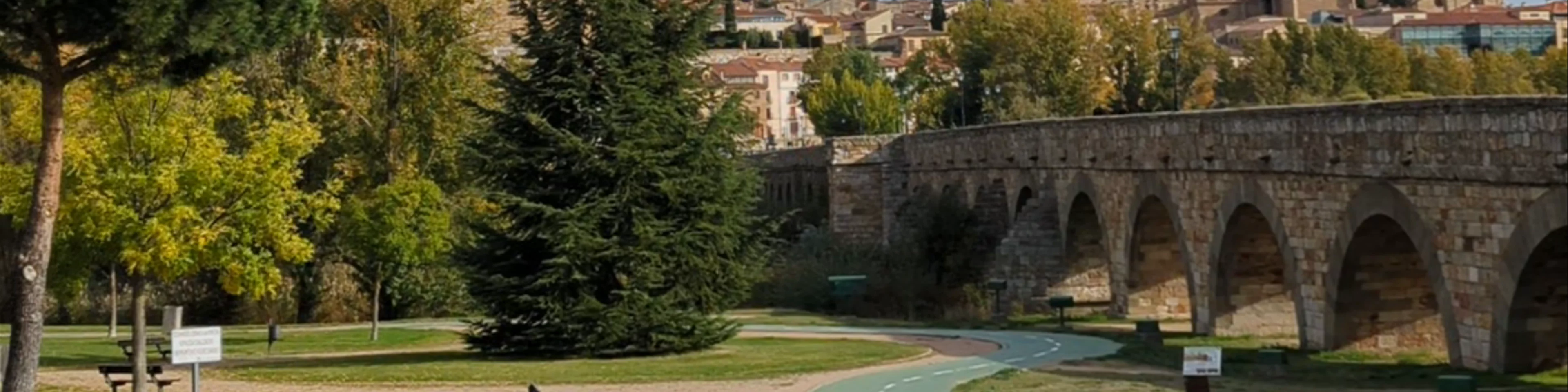 Puente Romano