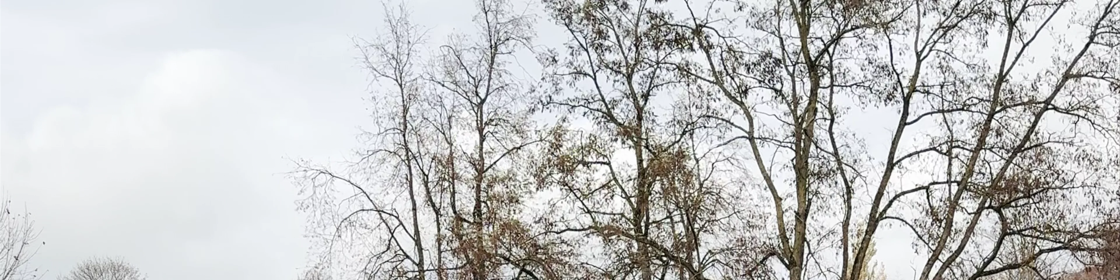 Ukmergė mound