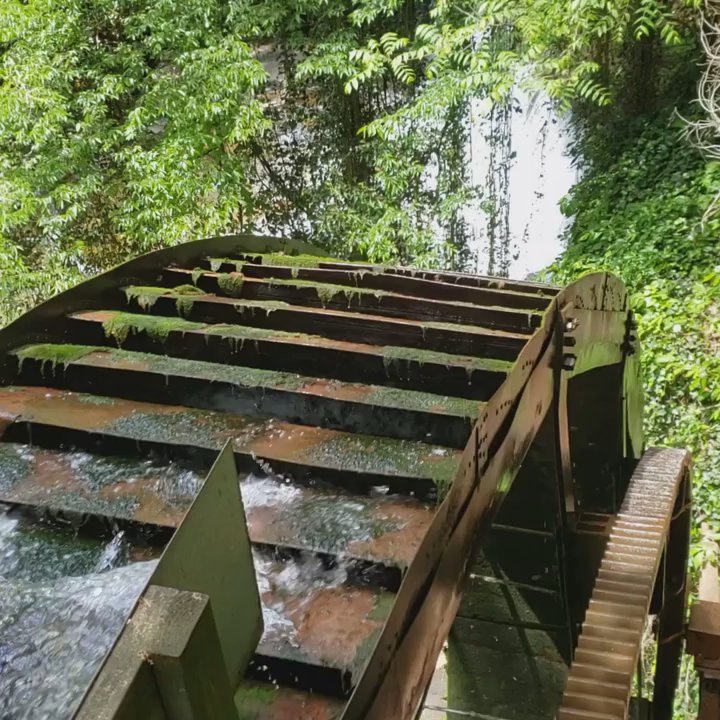 Falls Mill - Museums Near Me - Belvidere, Tennessee