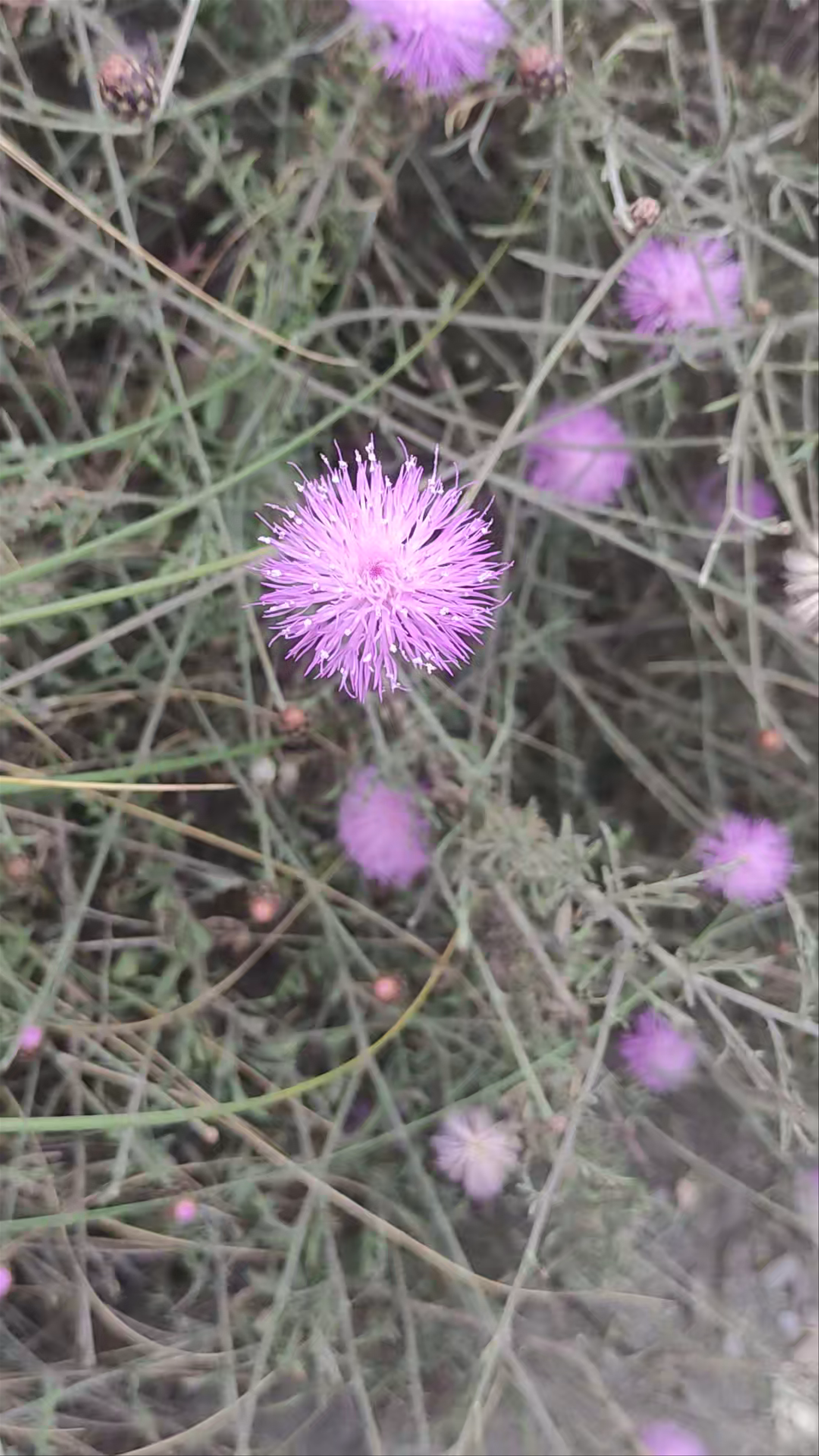 Senda Geominera: Hiking Through the Wild Landscapes of Cartagena, Spain