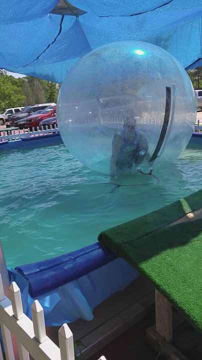 Safari Quest - Human hamster balls! - Arcades Near Me - Hammond, Louisiana