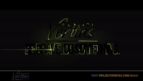 Video Thumbnail Loop