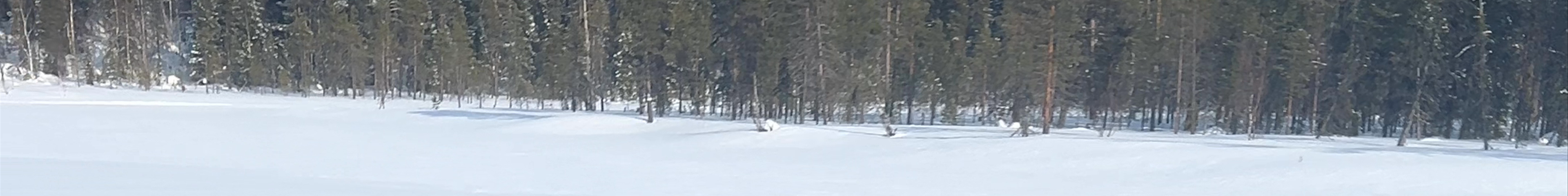 Tours & experiences in Finland