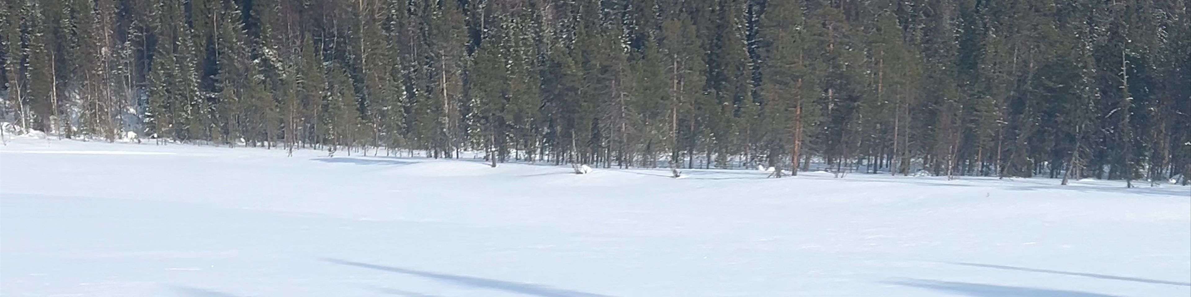Southern Finland
