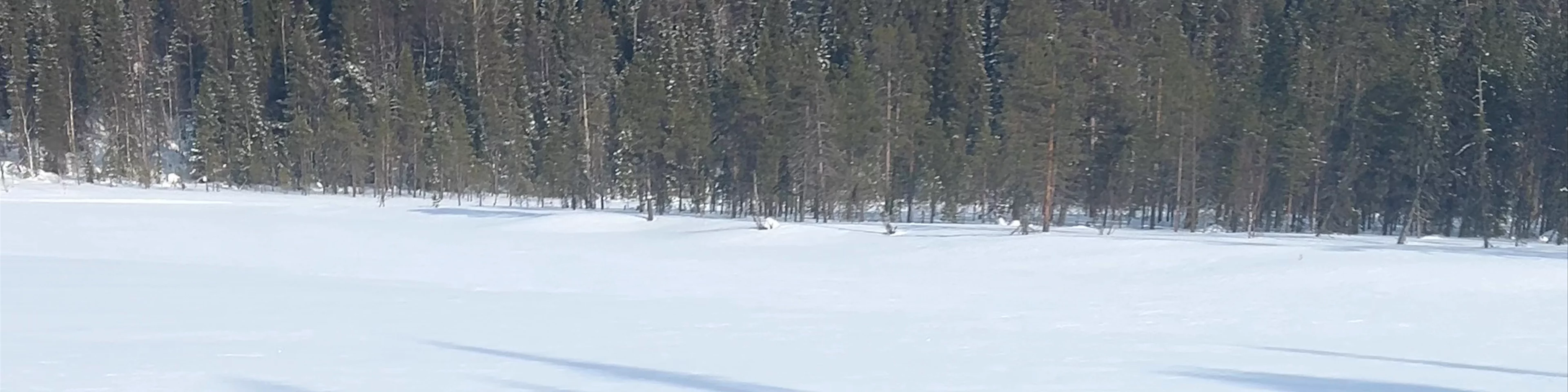 Finnish Sauna