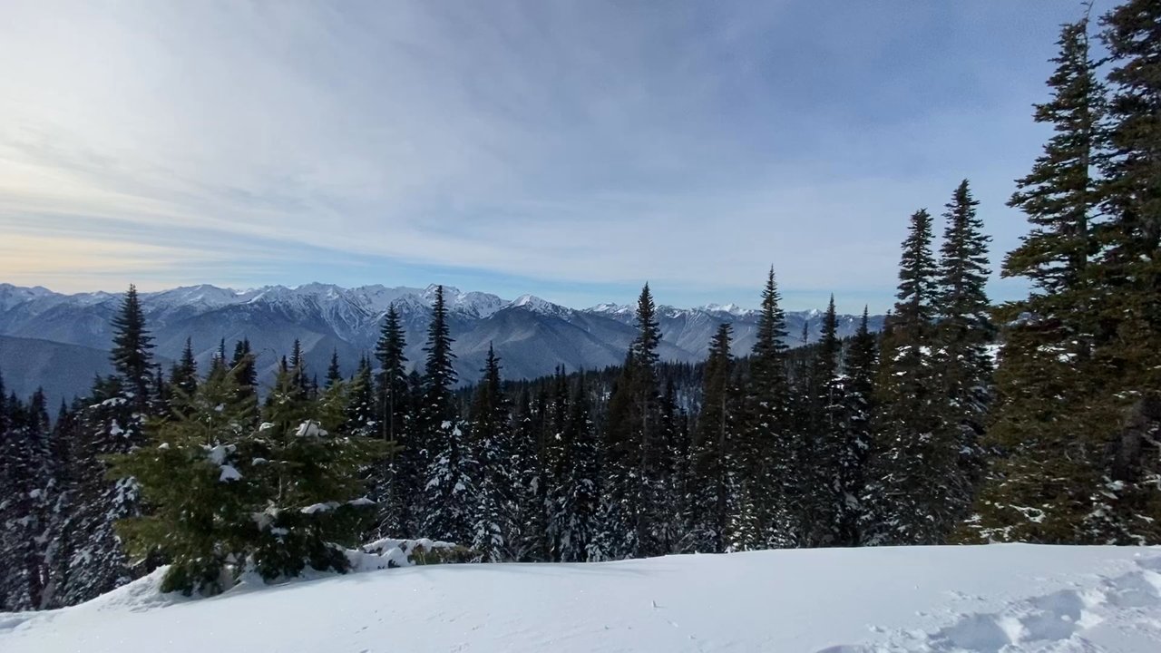 Evergreen Escapes - Tours Near Me - Seattle, Washington