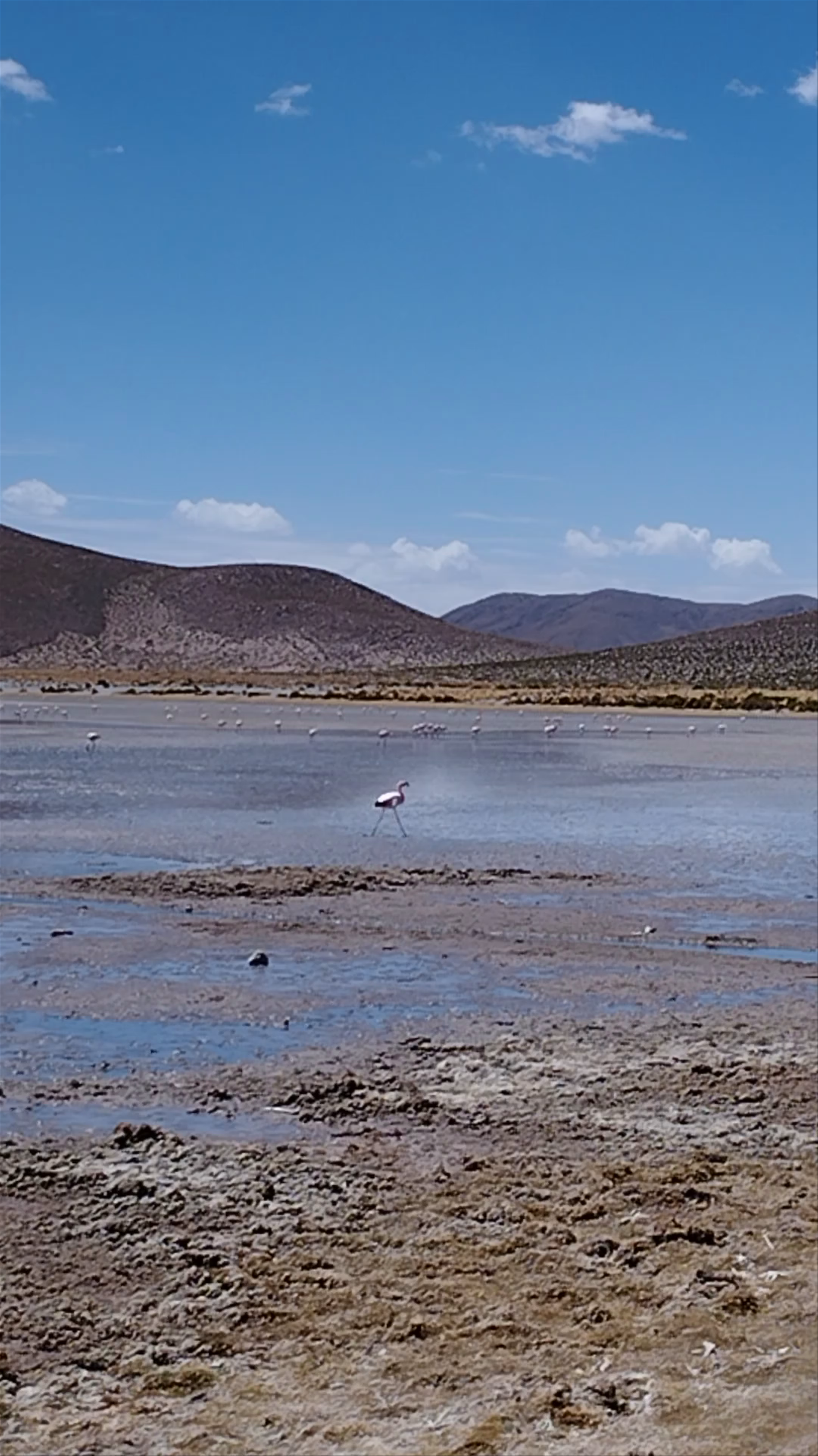 Mirador Laguna Vinto