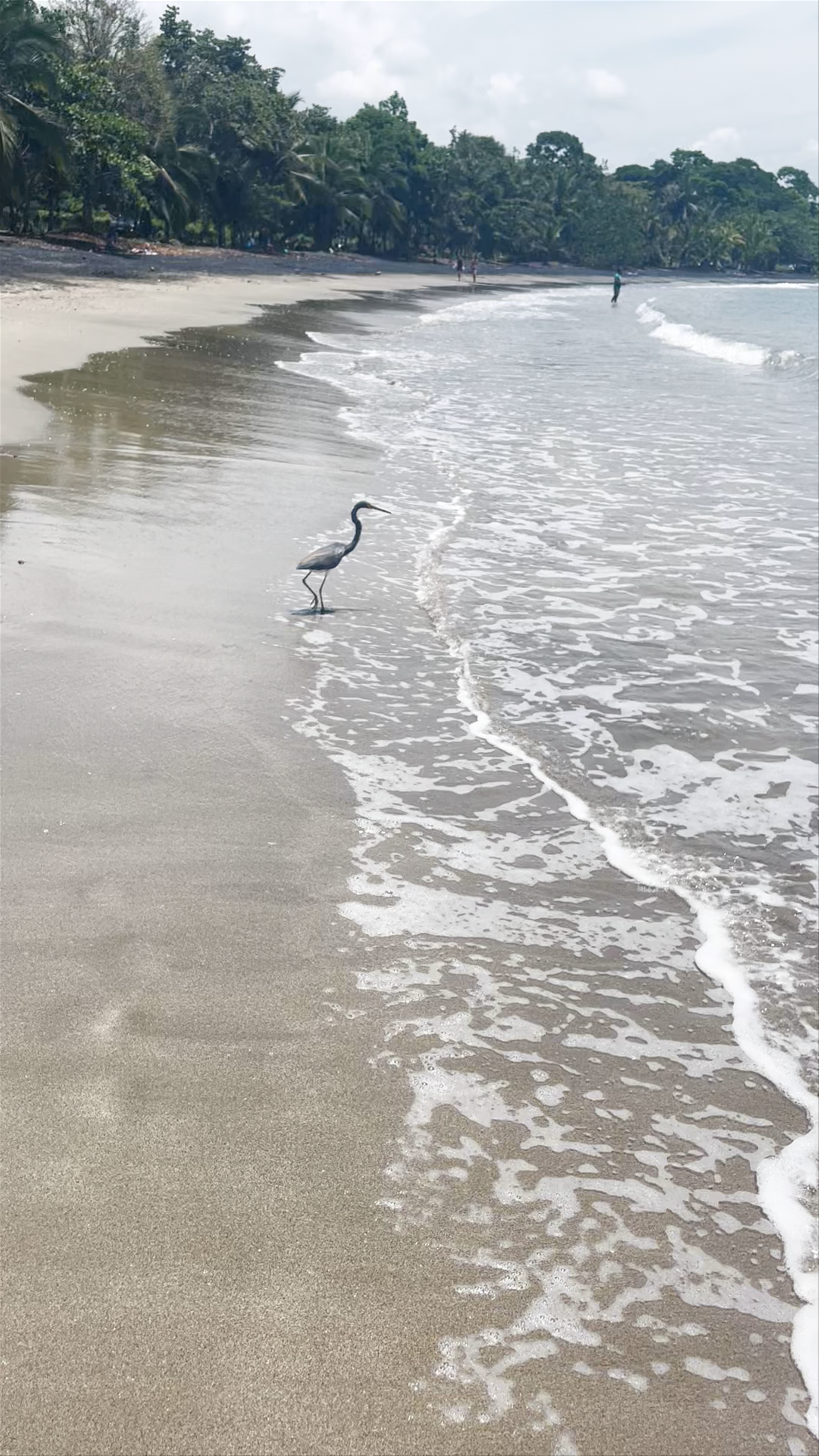 Playa Negra
