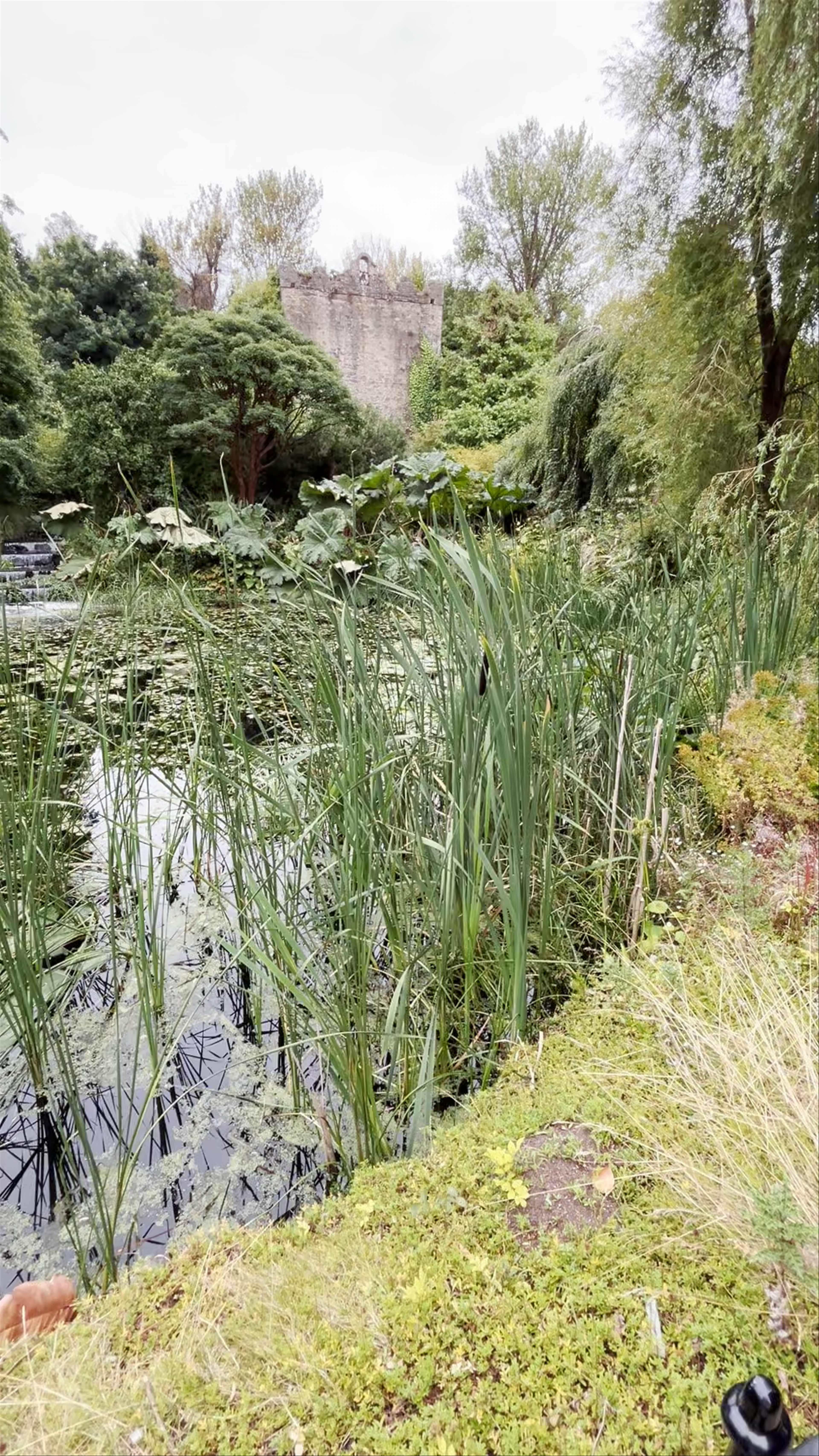 Malahide Castle & Gardens: Tranquil Nature Escape in County Dublin