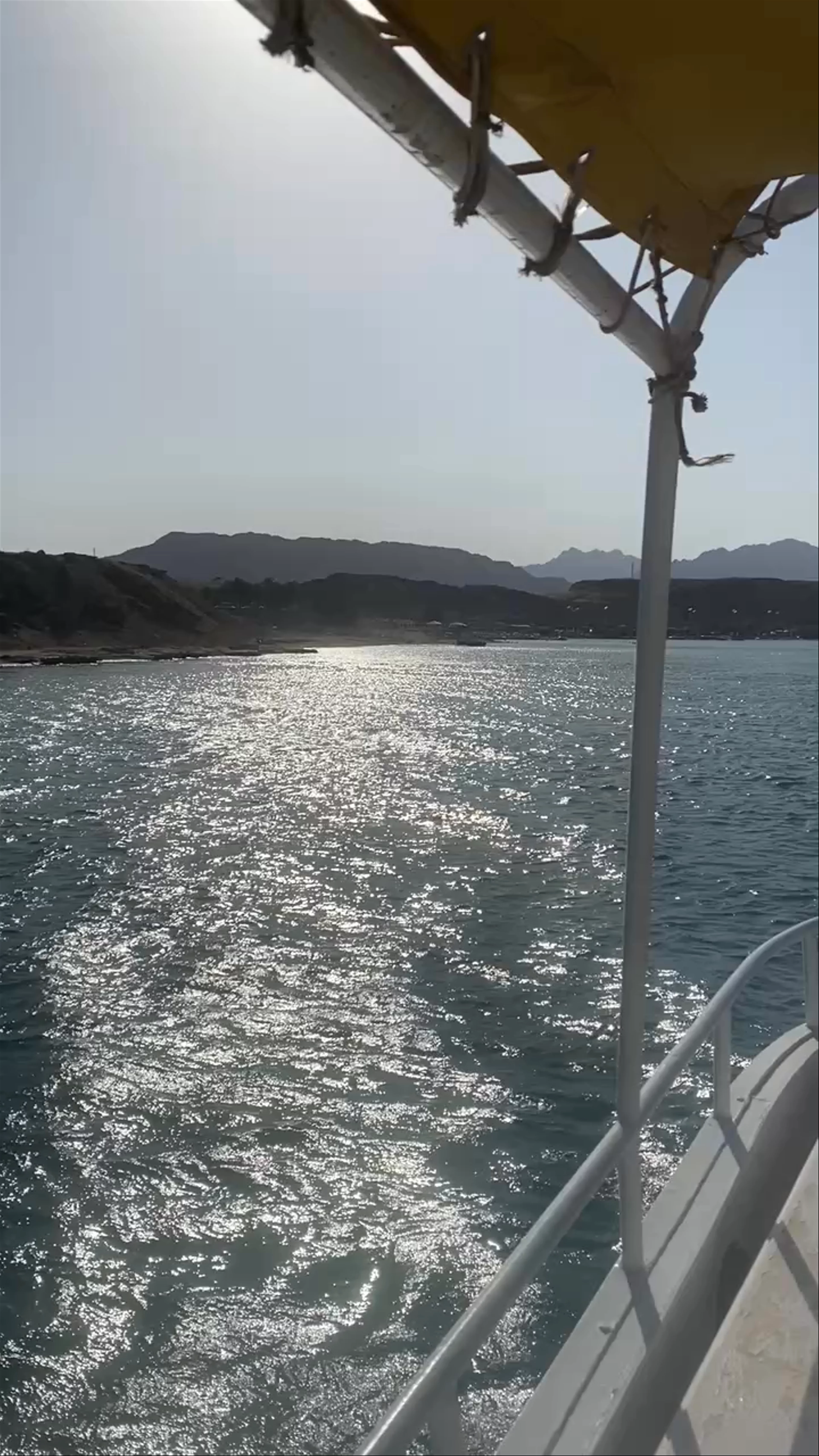 Coral Reef, Sharm El Sheikh