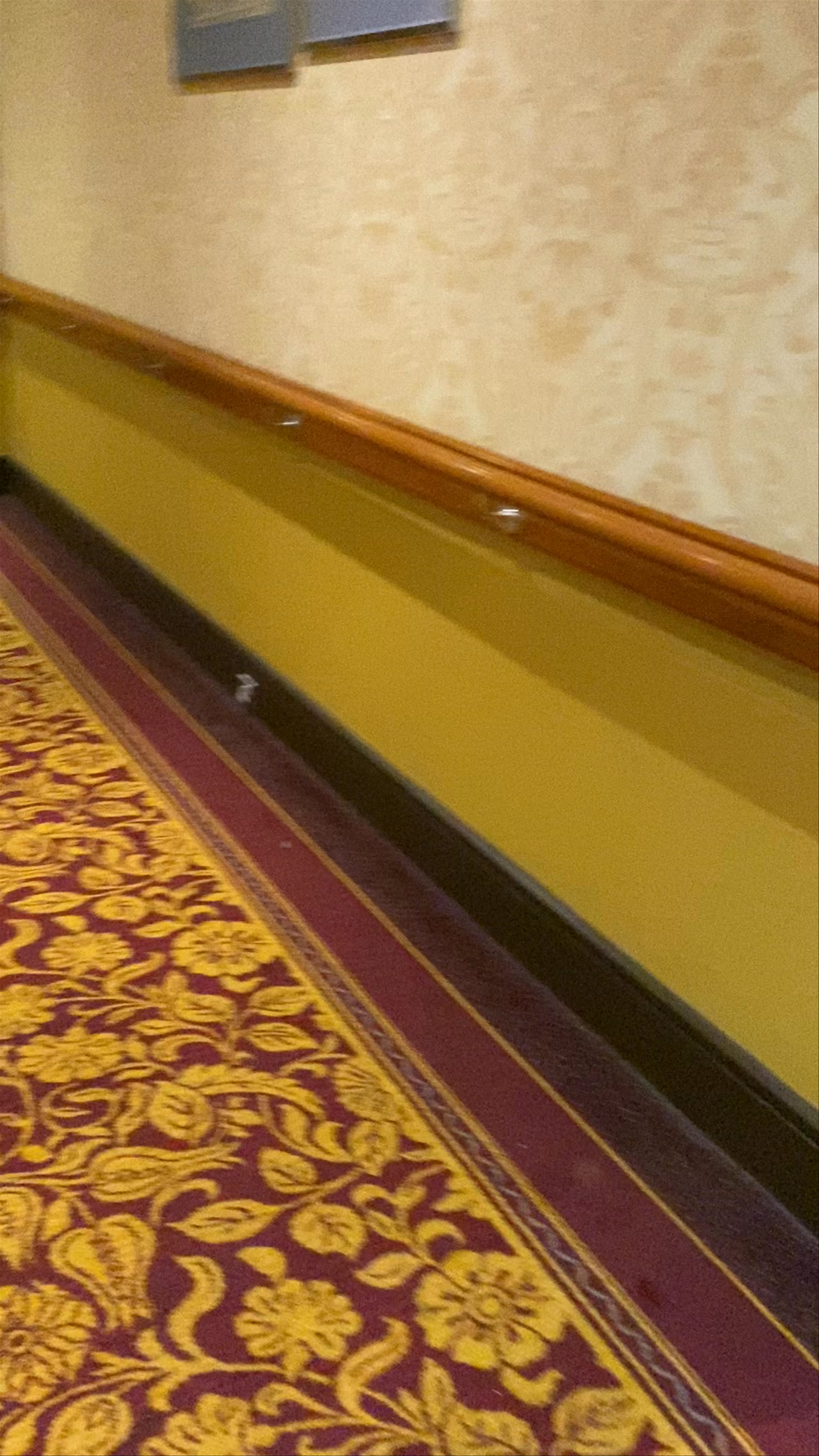 Hilton Brighton Metropole