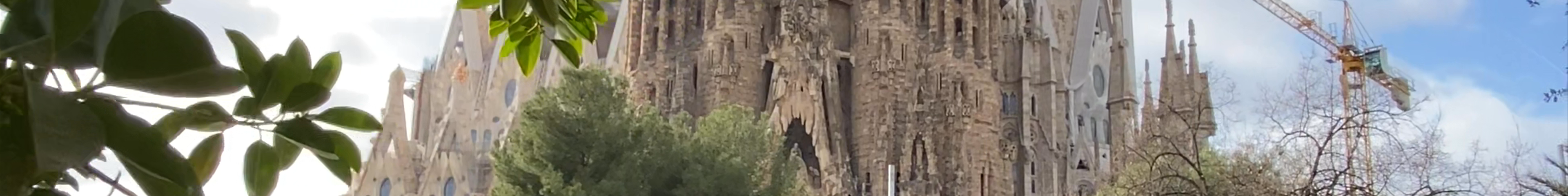 Tours & experiences in Sagrada Família