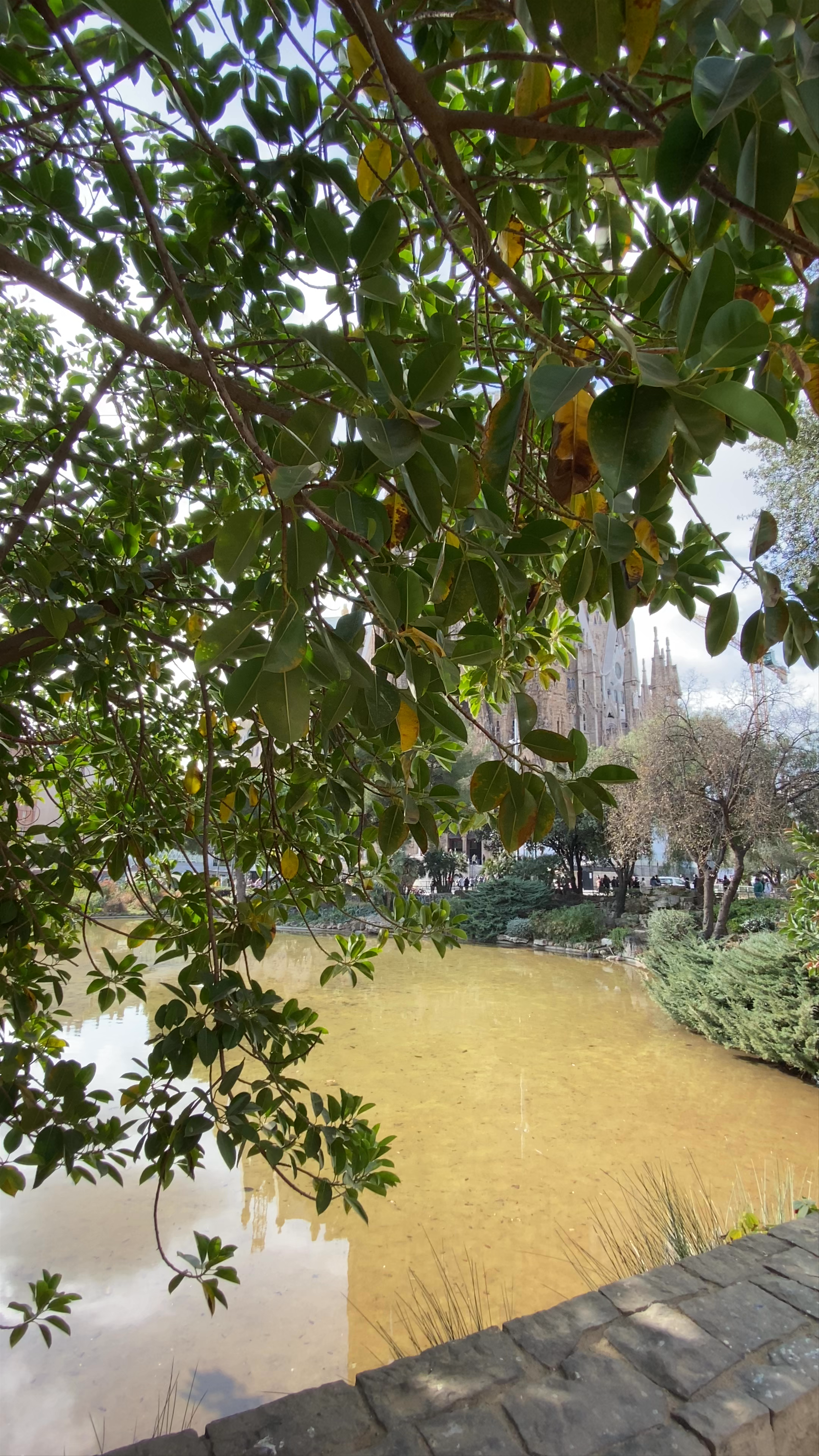 Sagrada Familia from the Park: A Serene View of Barcelona's Iconic Masterpiece