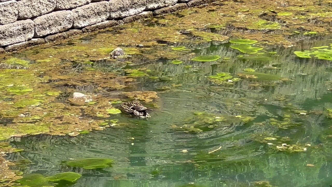 Mill Ruins Park - Duck, May 2024 - Landmarks & Historical Buildings Near Me - Minneapolis, Minnesota