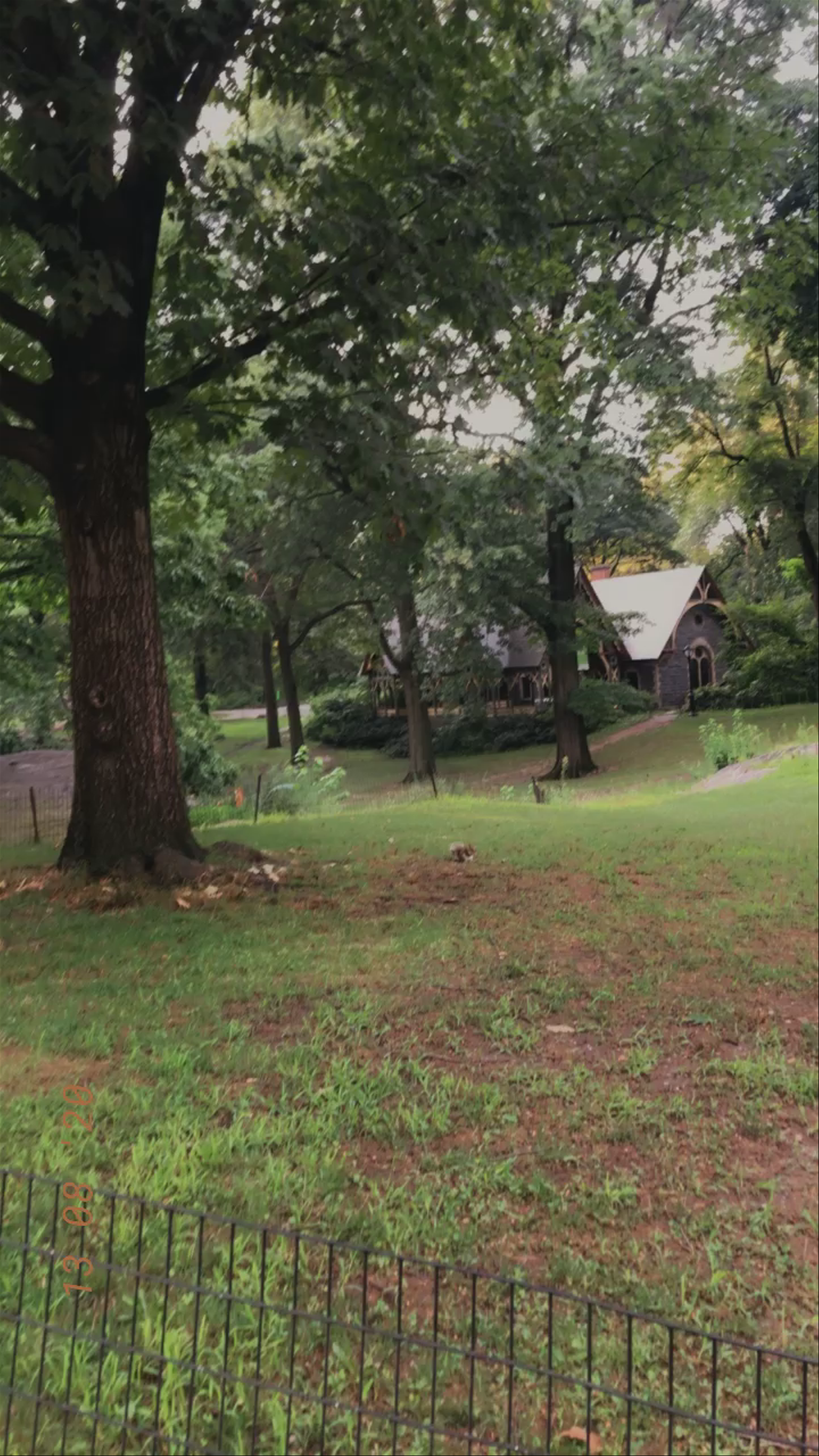 Central Park