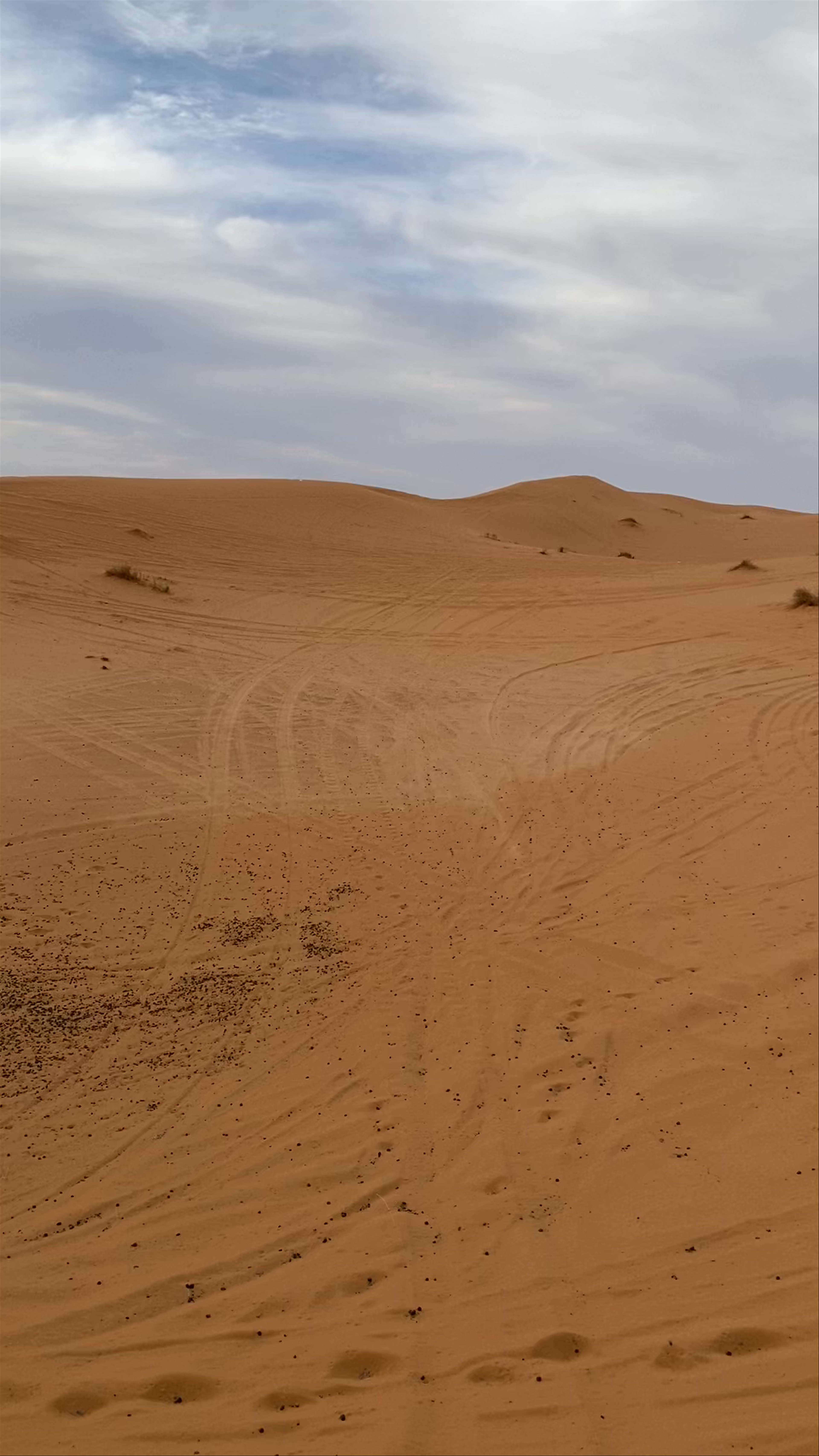 Merzouga Desert