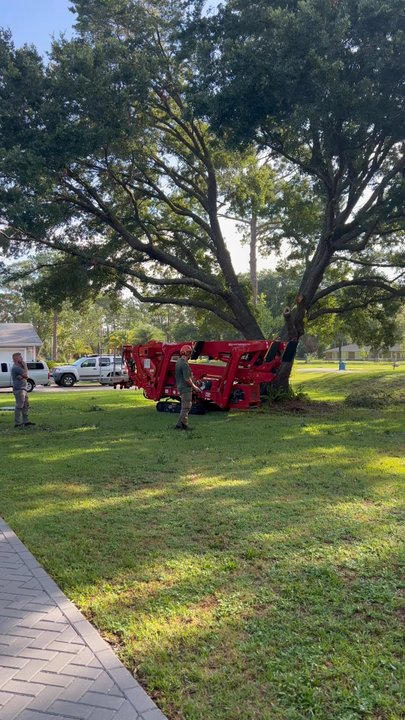 Tree Work By Mitch Drake & Sons - Tree Services Near Me