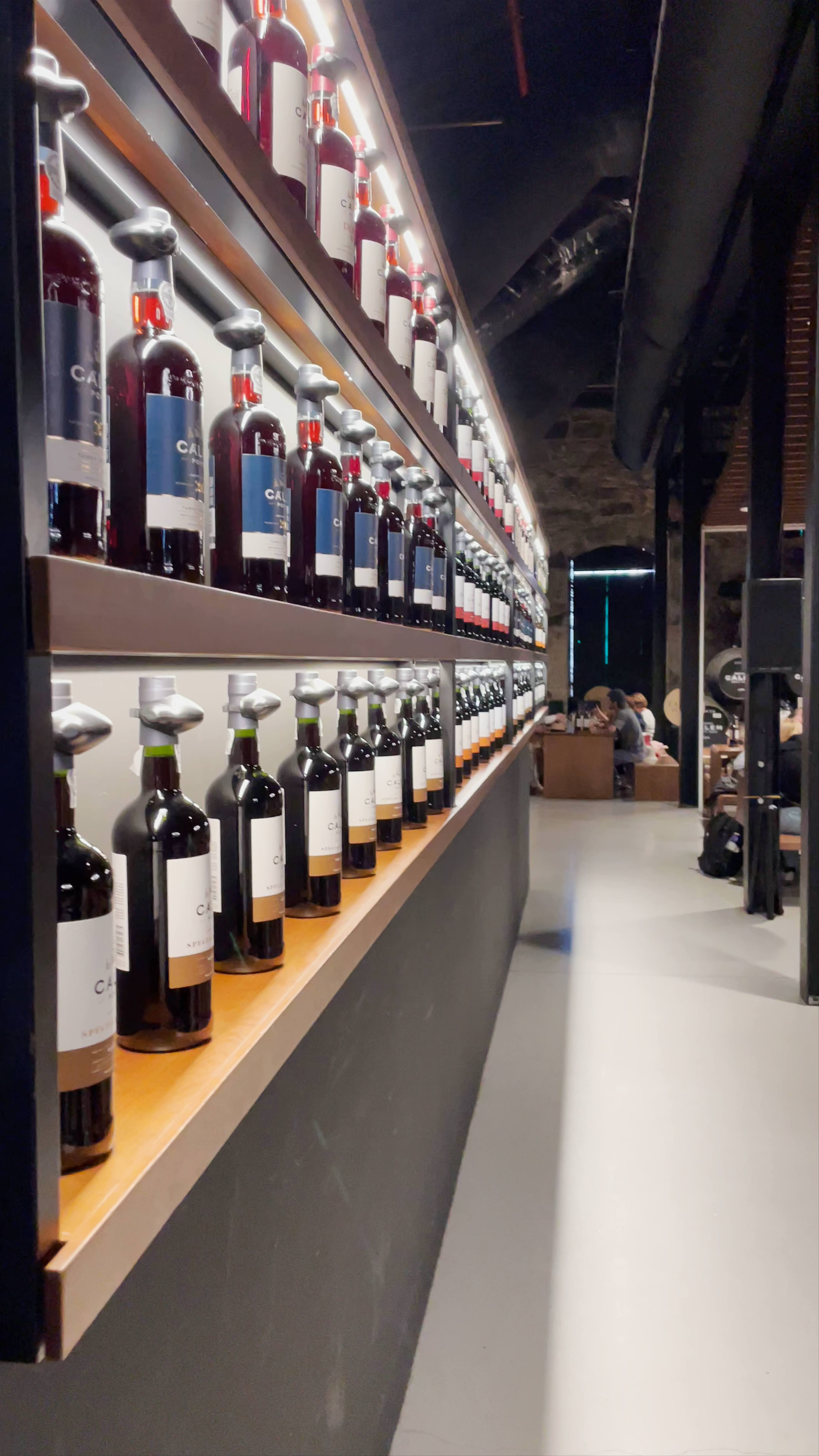 Cálem Port Wine Cellars Tour: A Taste of Vila Nova de Gaia's Heritage