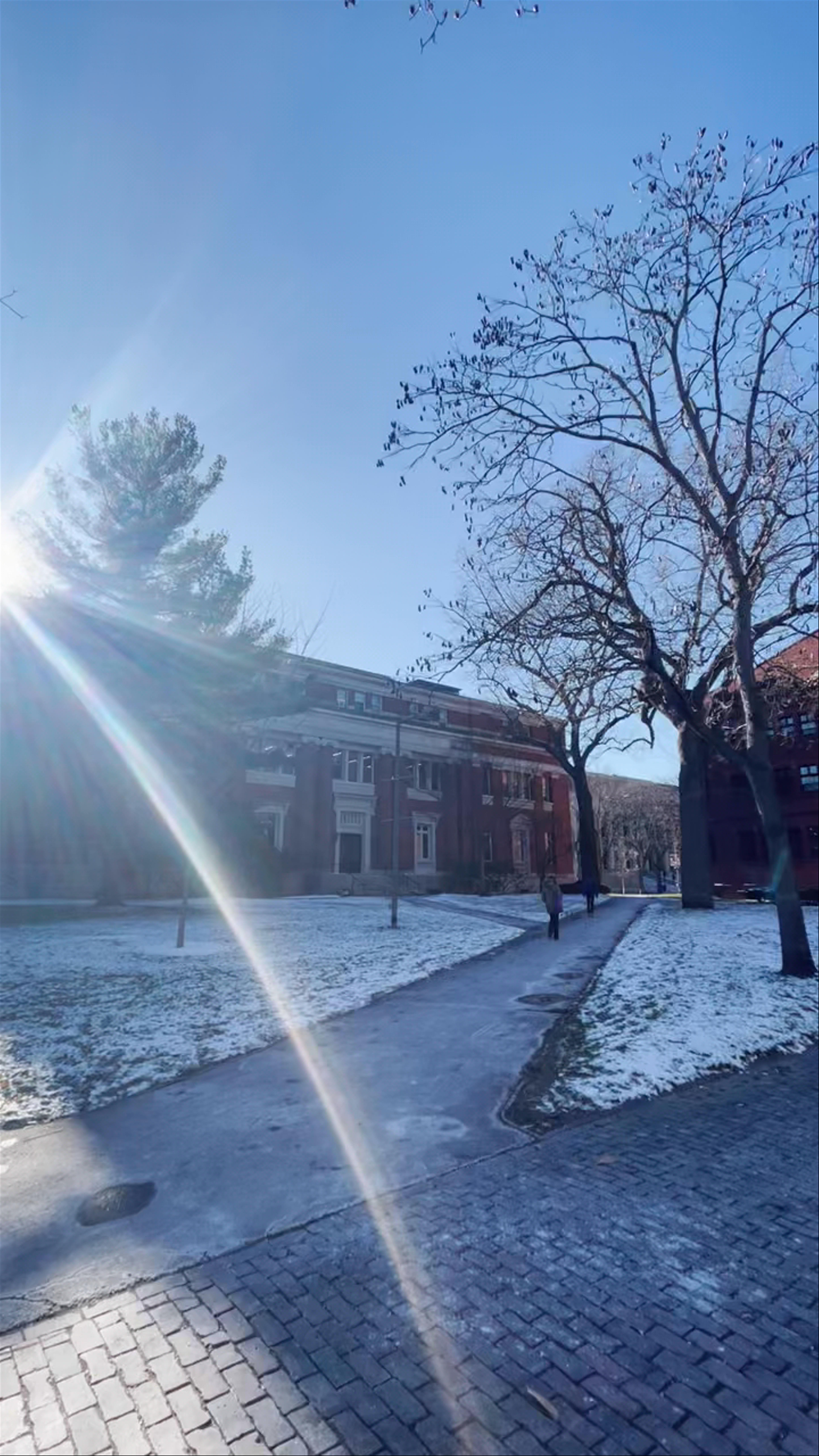 Winter Walk Around Harvard Square Station, Cambridge