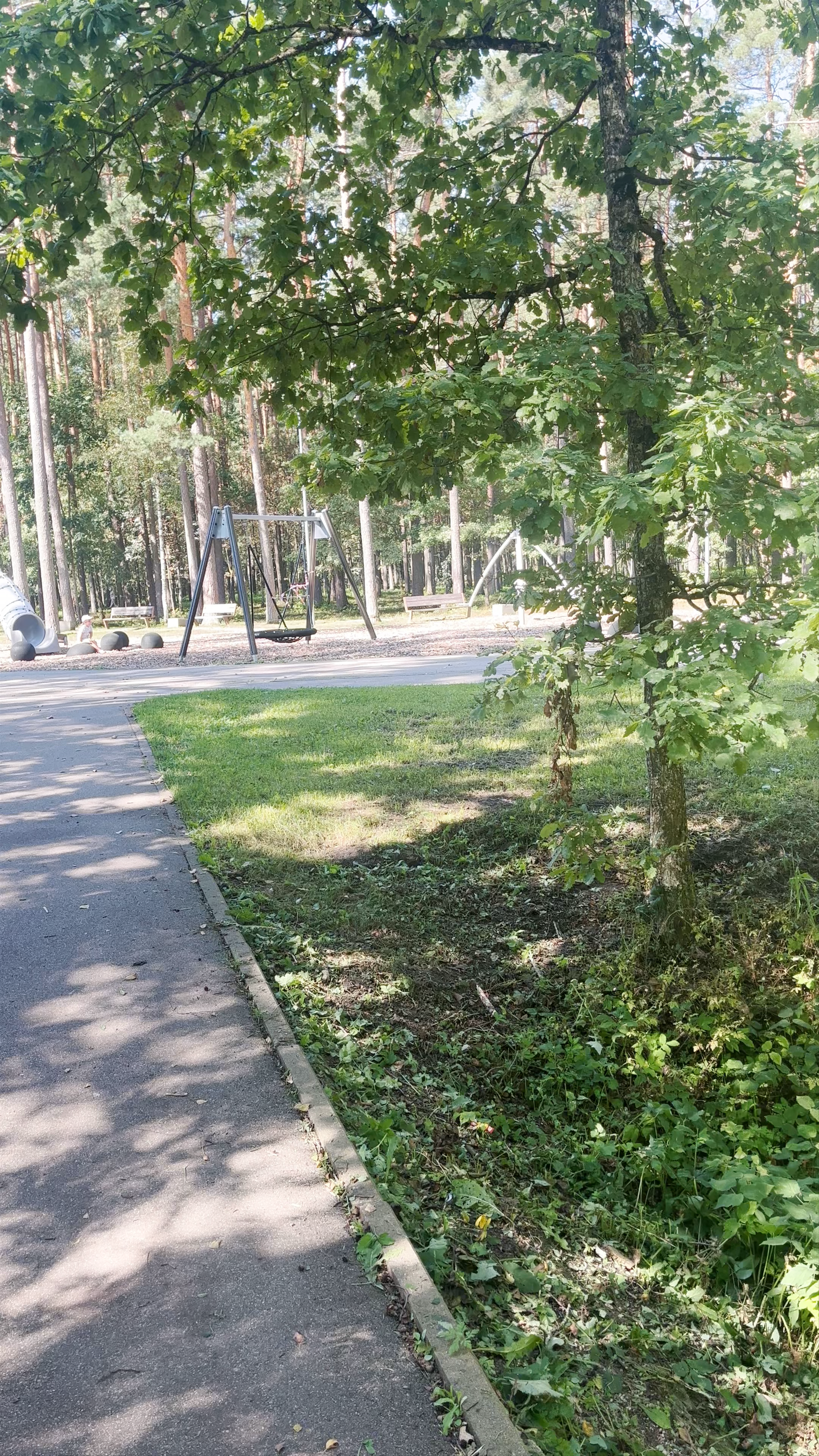 Olaines Mežaparks: Serene Forest Park Escape in Olaine, Latvia