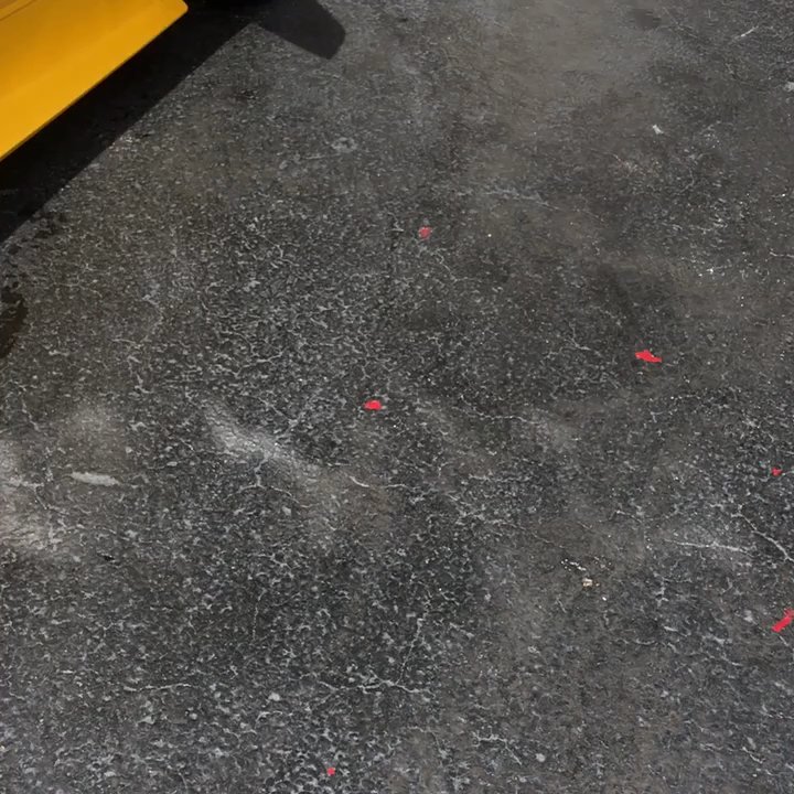 Performance Plus Motor Sports - Tires Near Me - Pompano Beach, Florida