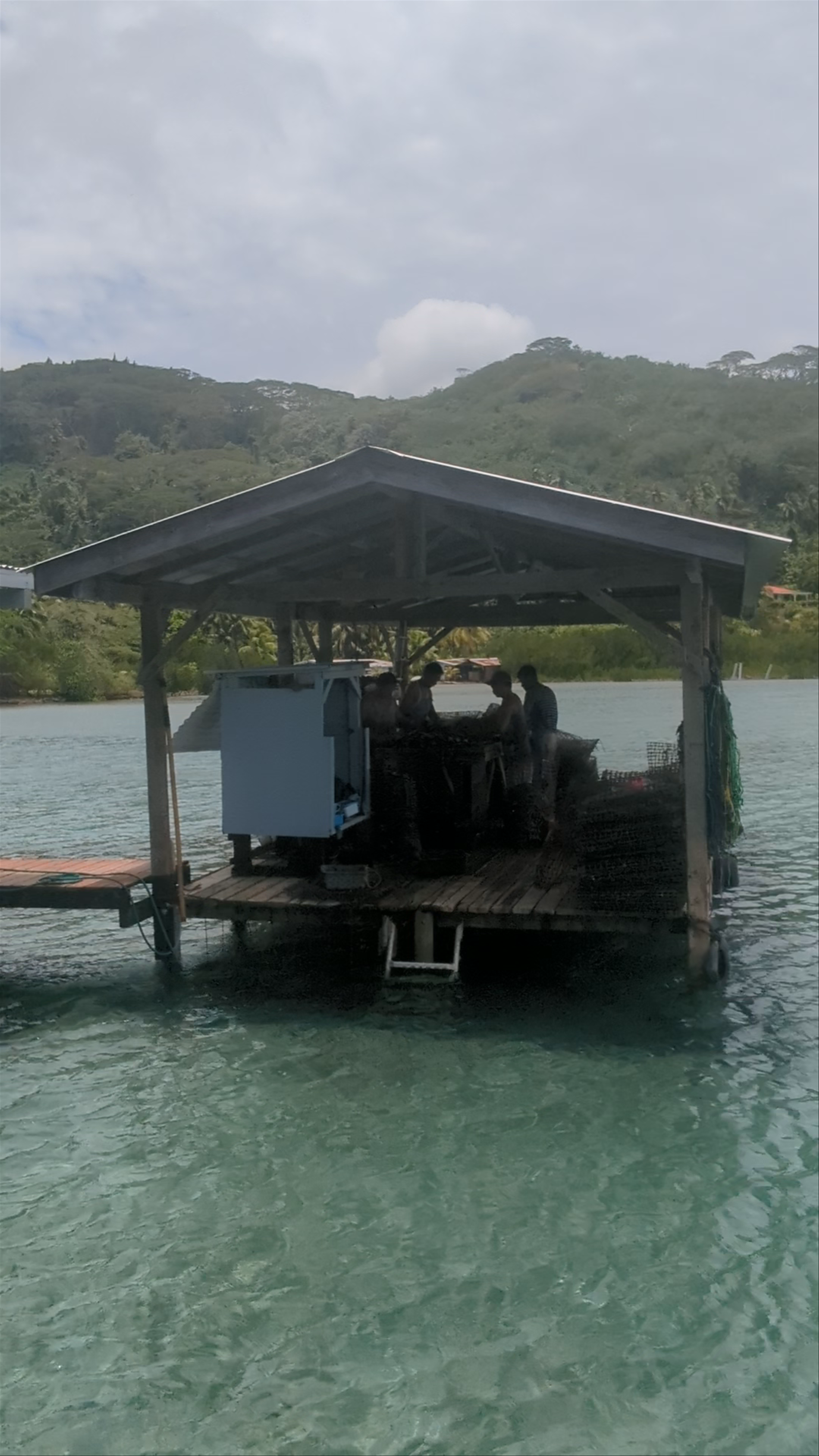 Ia orana pearl farm