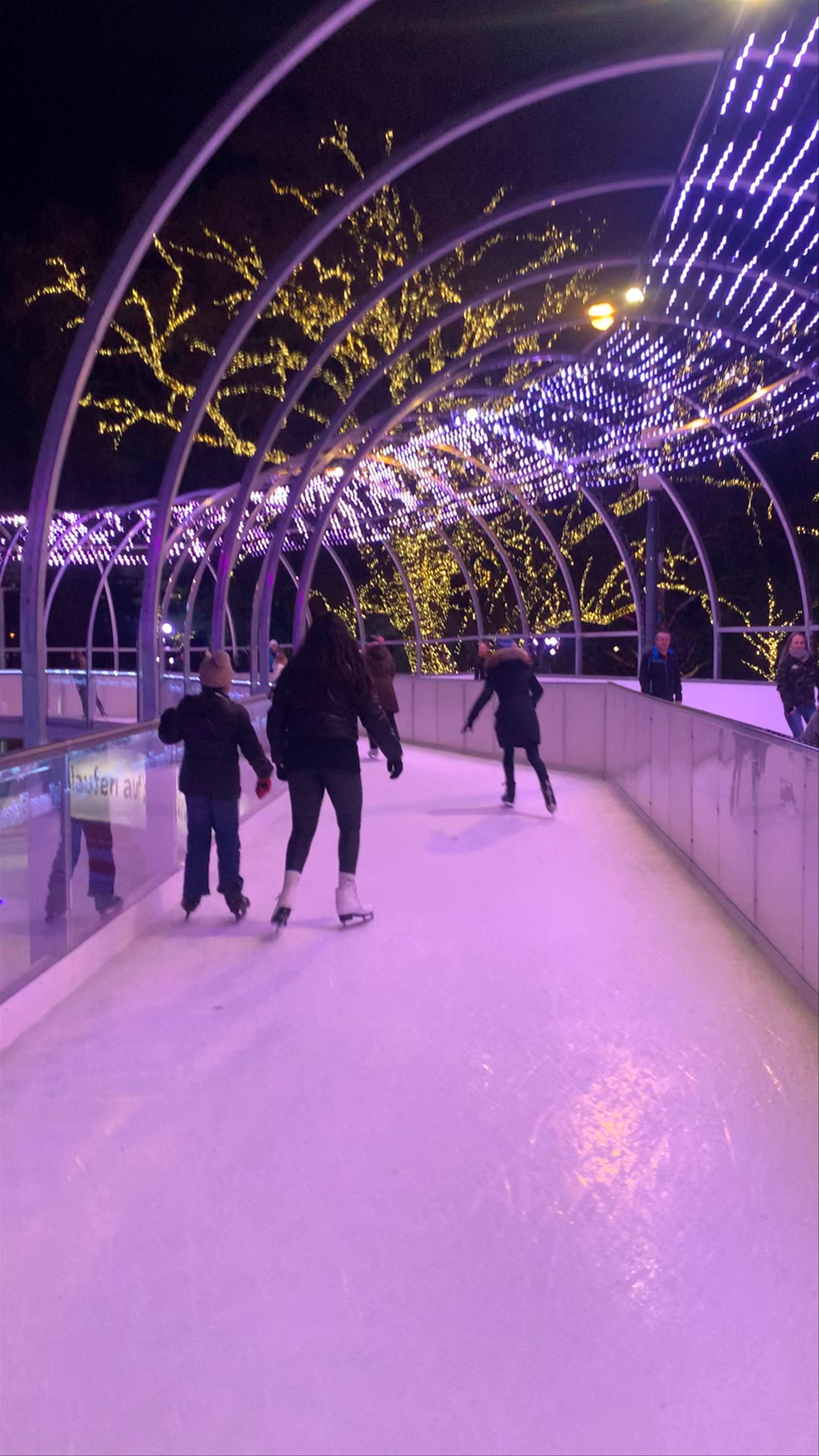 Vienna Ice World