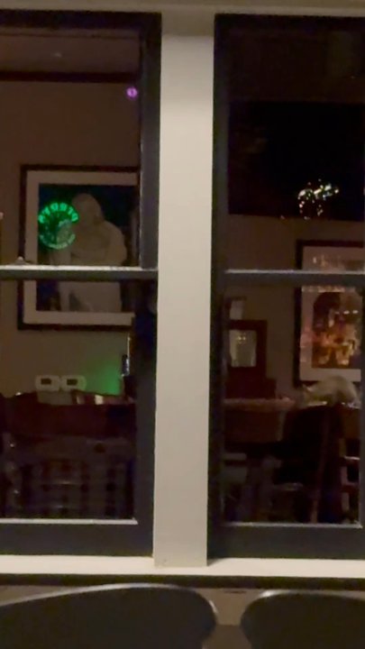 Perry's on Magnolia - Rats having a party and jumping around after closing in the restaurant. Video shows one, but i watched two. - Bars Near Me - Larkspur, California