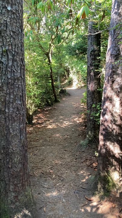 Hobbit Beach Trailhead - An easy part of a scenic trail - Beaches Near Me