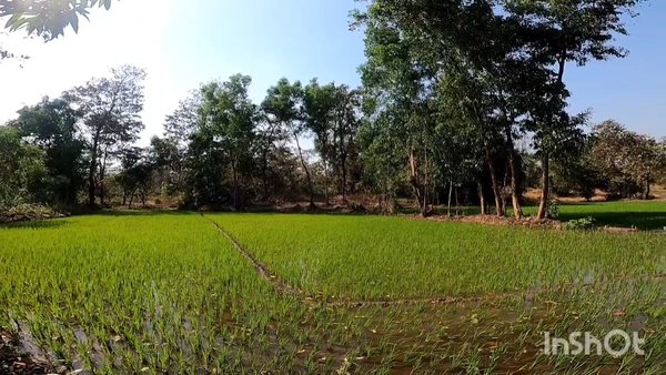 Photo of Life was meant for c