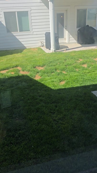 Yard Masters - They do this every week. I'm different spots. It is ridiculous - Snow Removal Near Me - Ogden, Utah