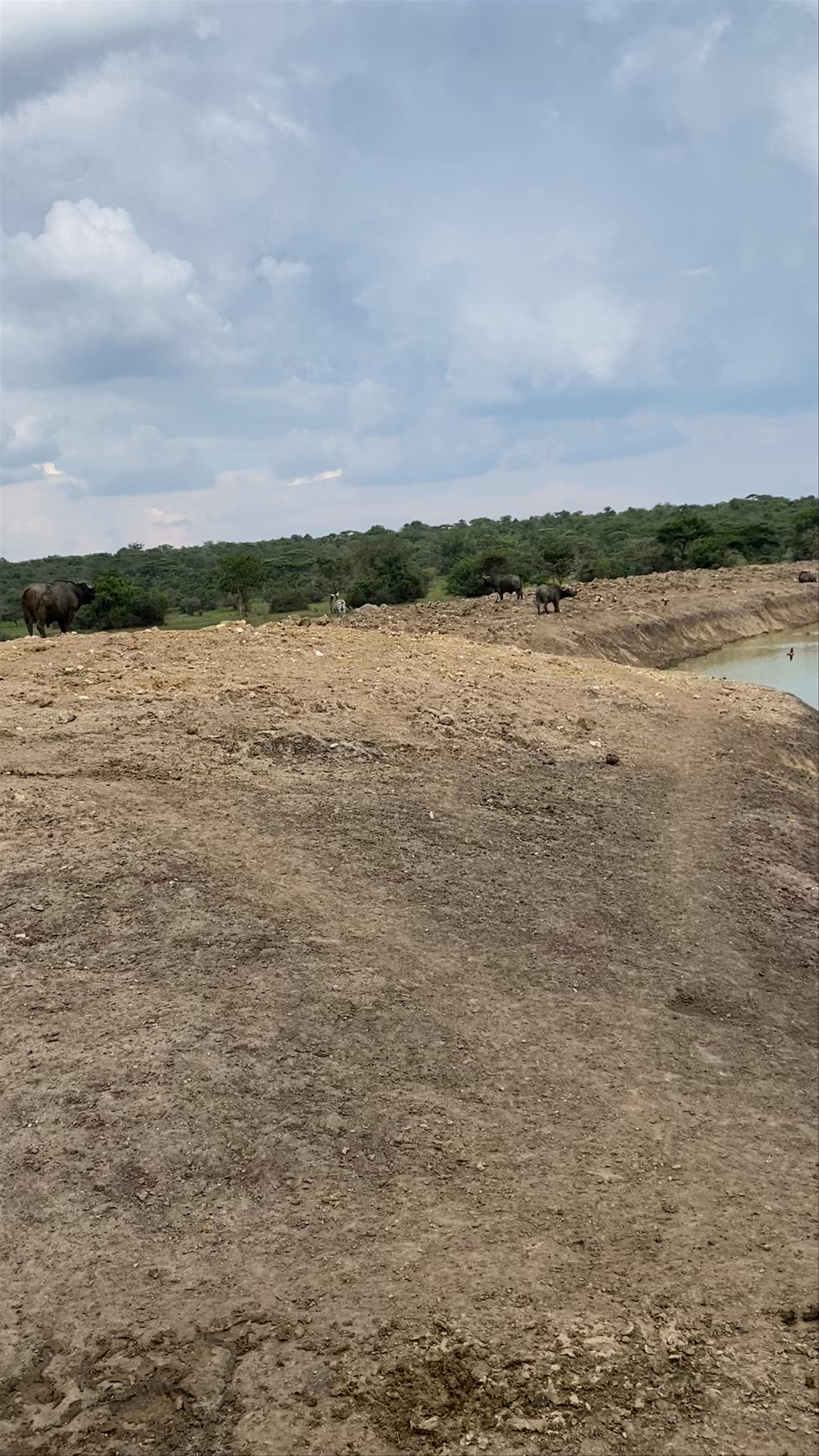 Lake Mburo National Park