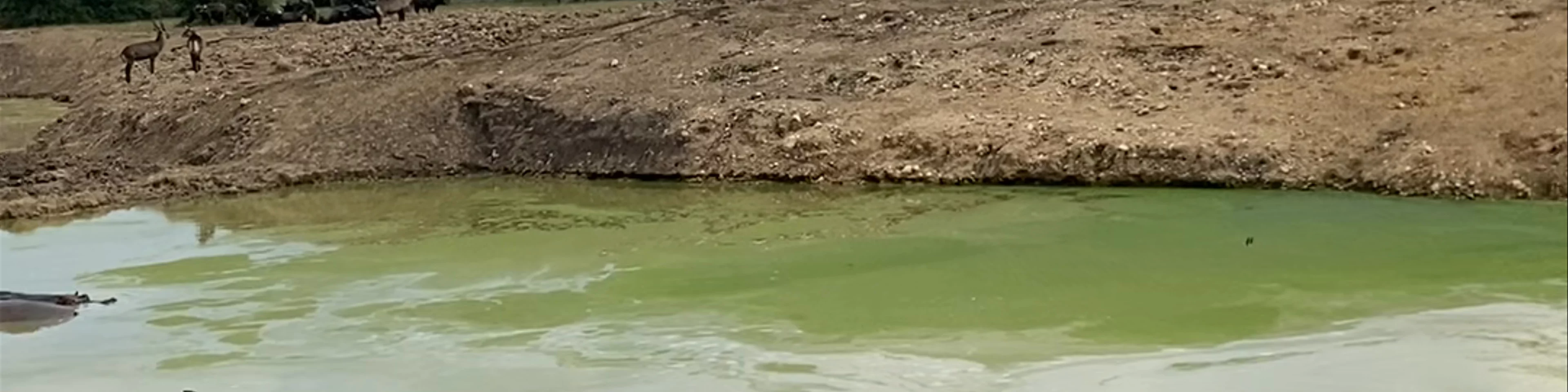 Lake Mburo National Park