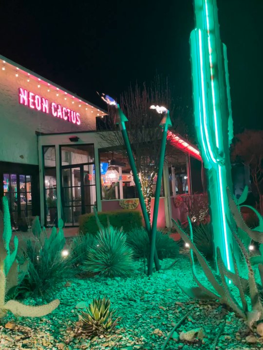 Neon Cactus - Vibes - Salad Near Me - Fairview, Texas