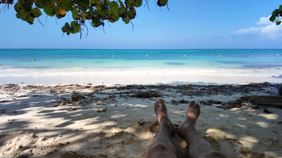 Les cocotiers sont mes amis