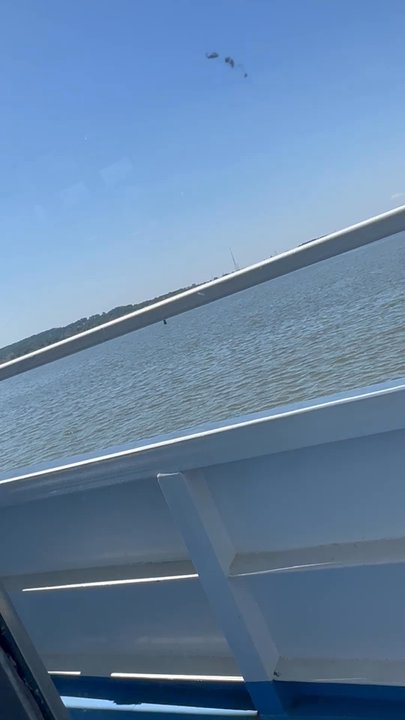 Cornucopia Cruise Line - New American Near Me - Perth Amboy, New Jersey