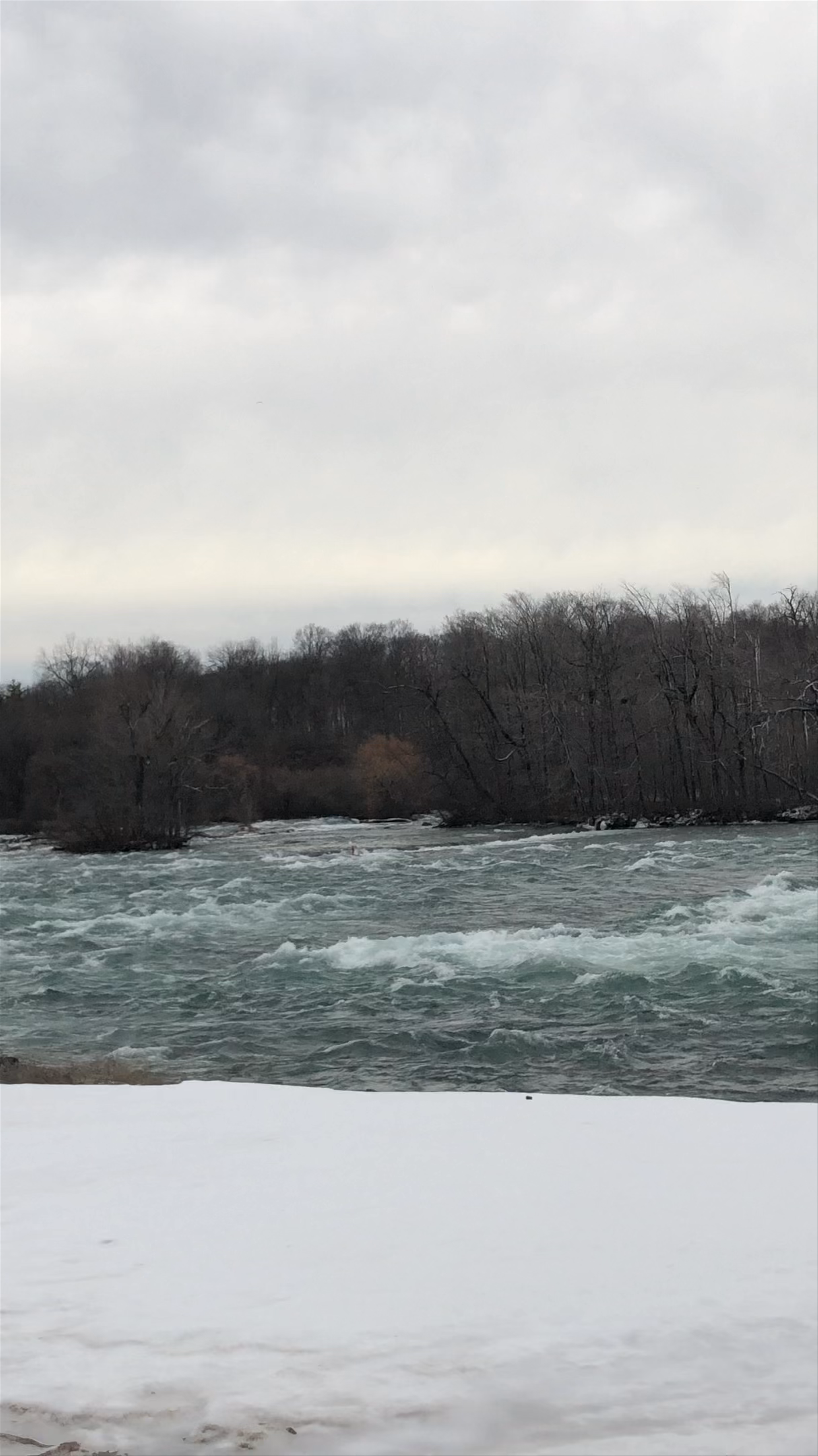 Winter at Niagara Falls State Park: Majestic Frozen Rapids and Misty Views