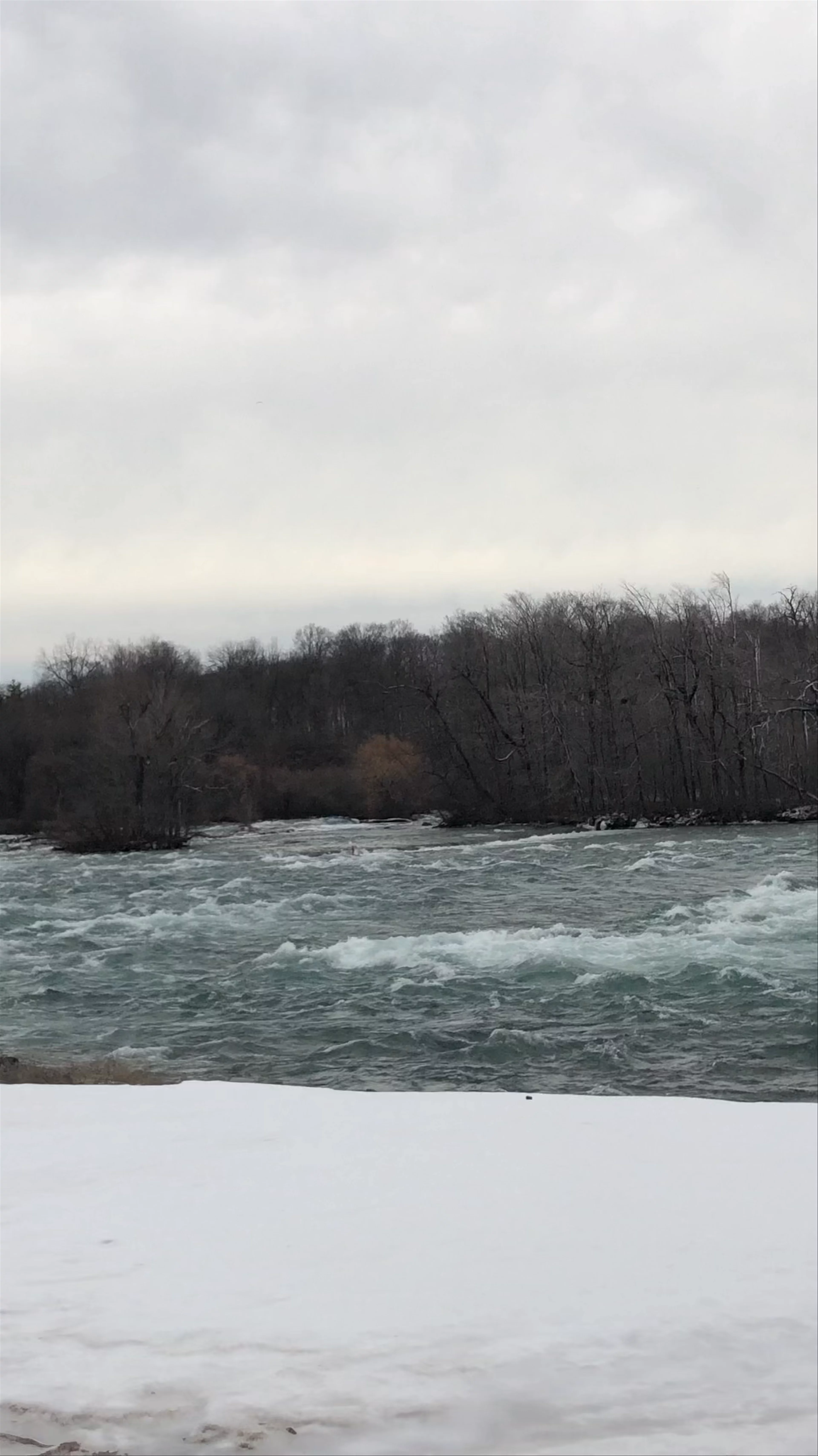 Niagara Falls State Park