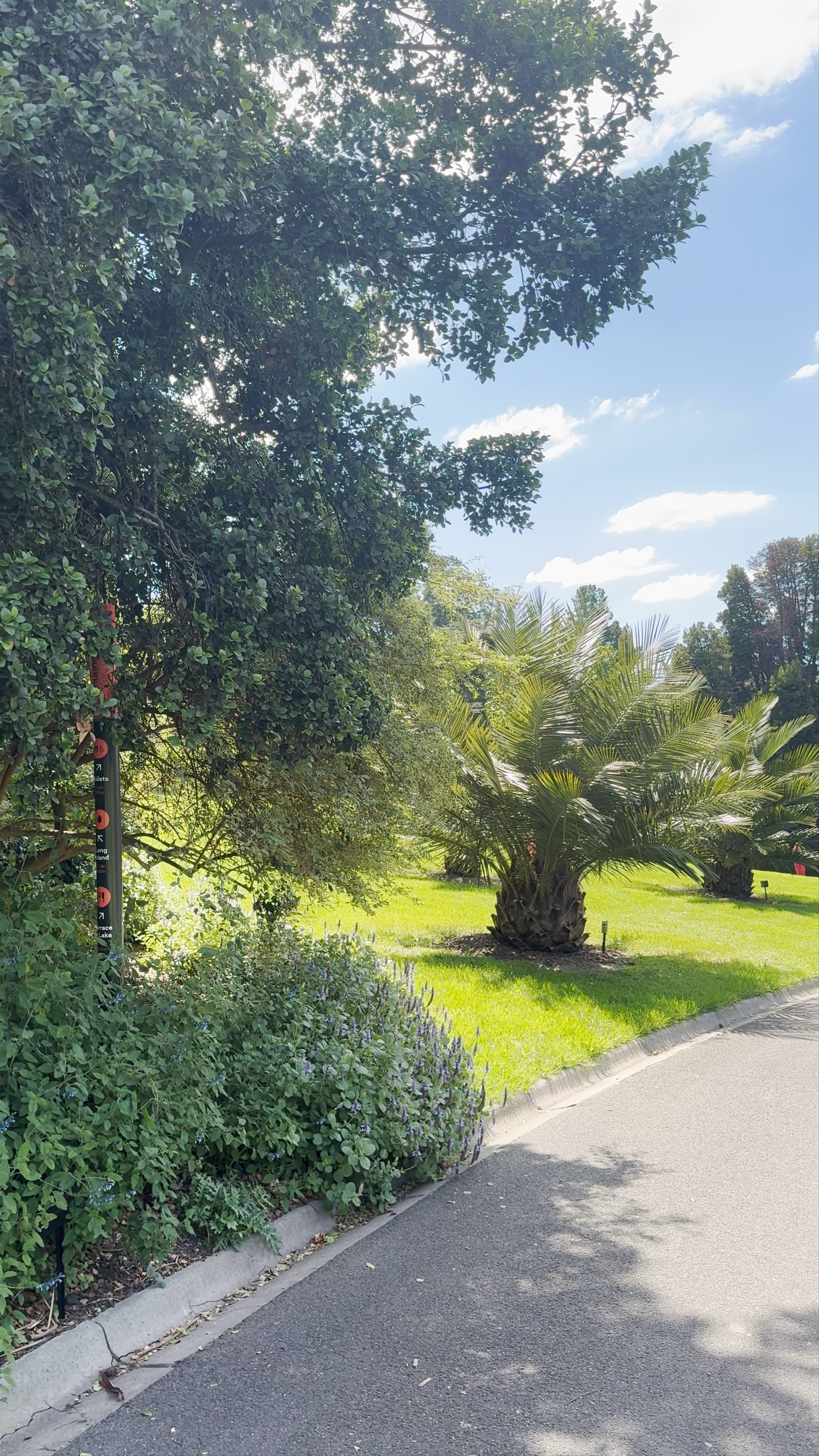 Royal Botanic Gardens Visitor Centre