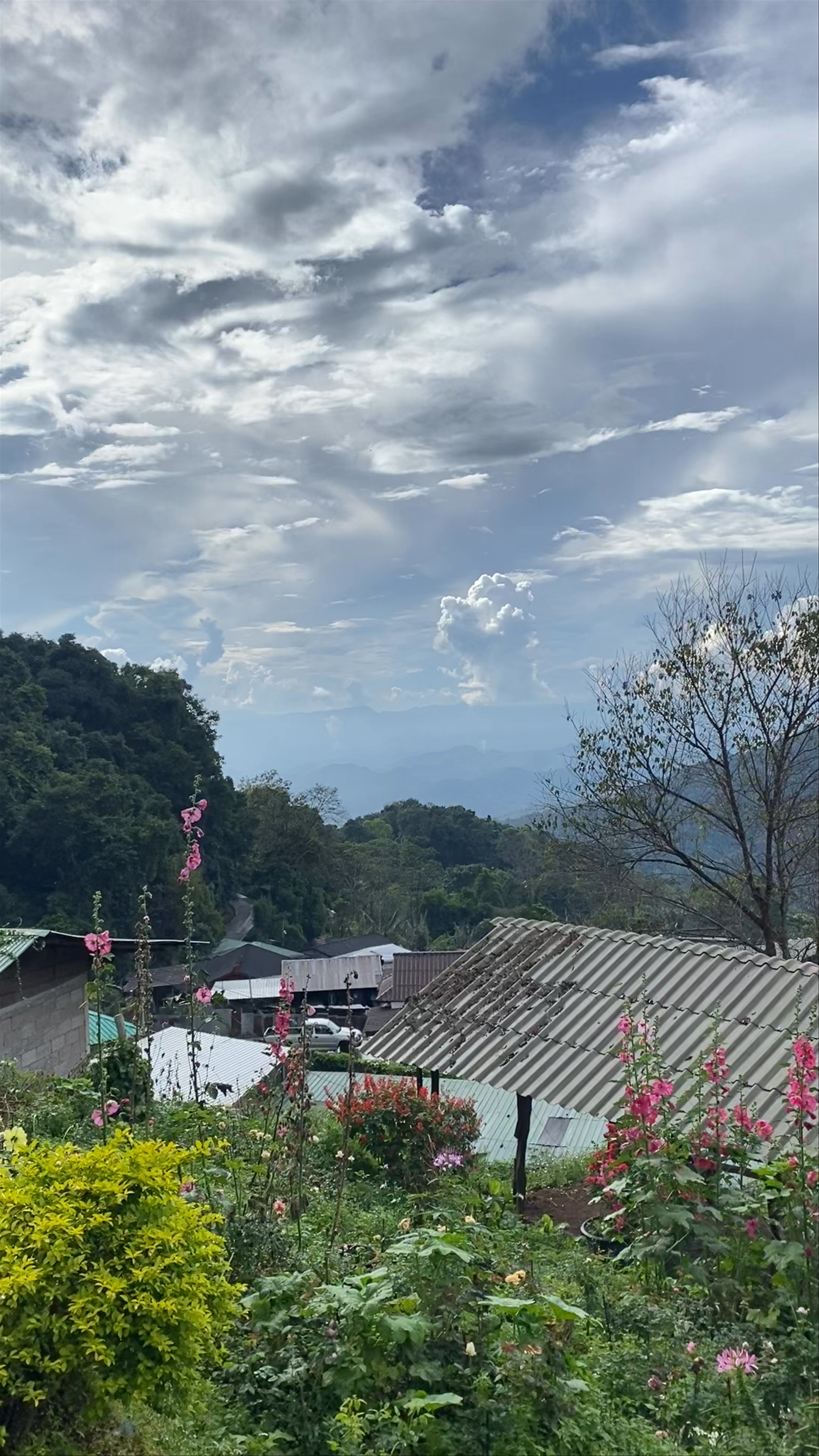Hmong Doi Pui Village