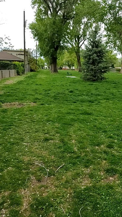 McDuffie Park - Parks Near Me