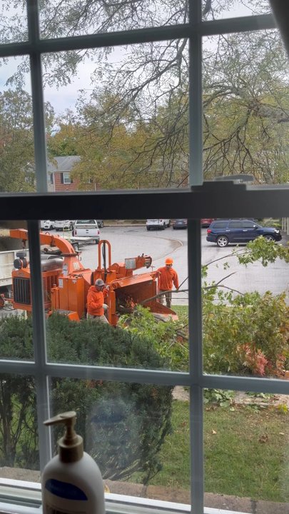 Prestige Tree Experts - Tree eater, time for mulch! - Tree Services Near Me