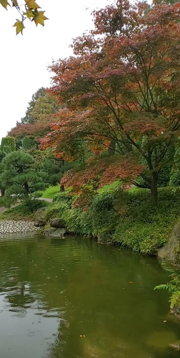 Japanischer Garten - Parks Near Me